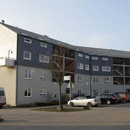 MFH Börckhauser Feld